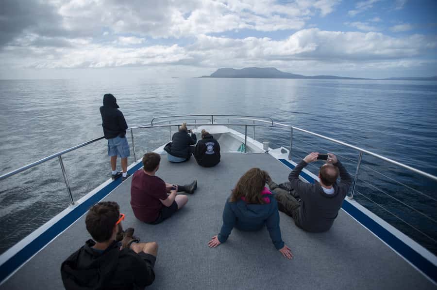 Hobart: Maria Island National Park Active Full-Day Tour - The 4.5km walk to Painted Cliffs