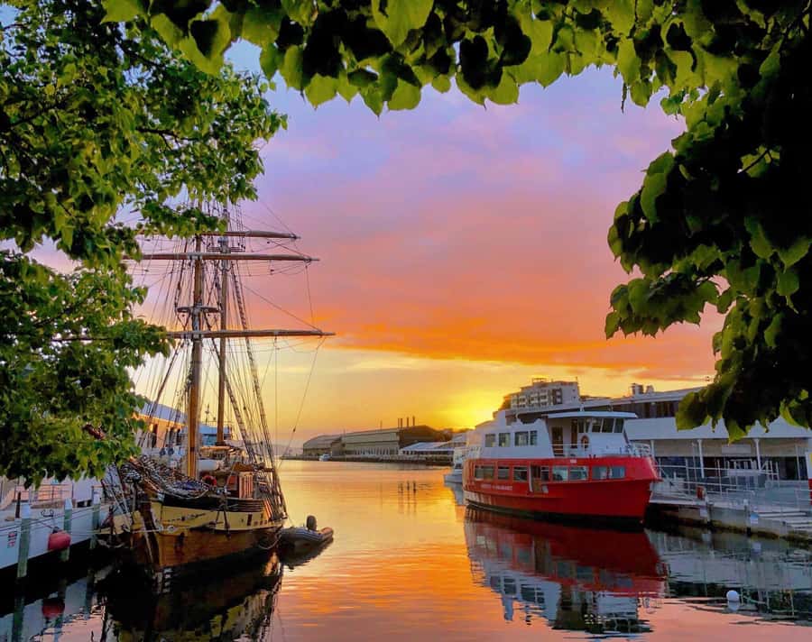 Hobart: Morning River Cruise - Why a morning on the Derwent works