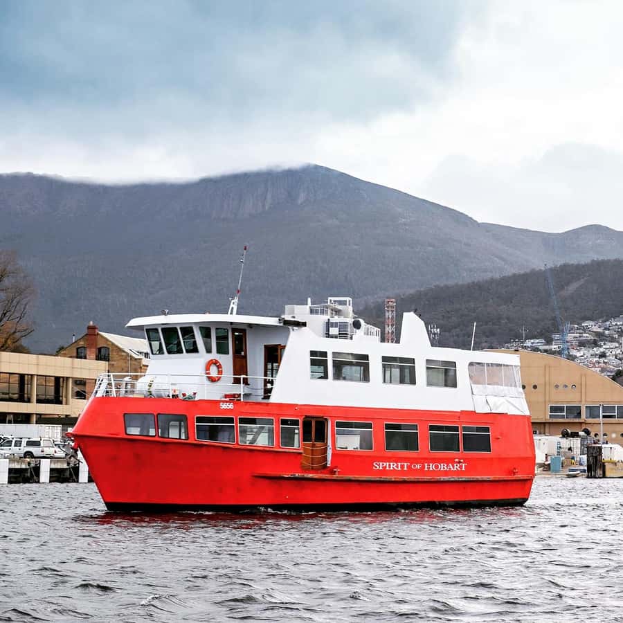 Hobart: Morning River Cruise - Under the Tasman Bridge