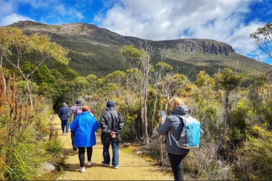 Hobart: Mt Wellington, Richmond, & Bonorong Wildlife Tour - Reaching the summit of kunanyi/Mt Wellington