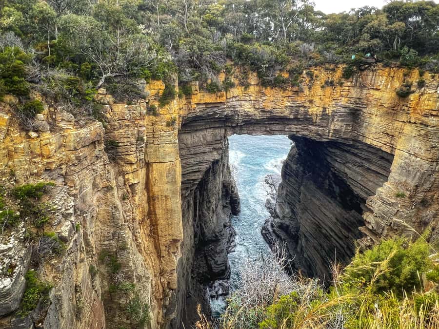 Hobart: Port Arthur, Harbor Cruise and Isle of the Dead Tour - Comfort, accessibility, and guide style