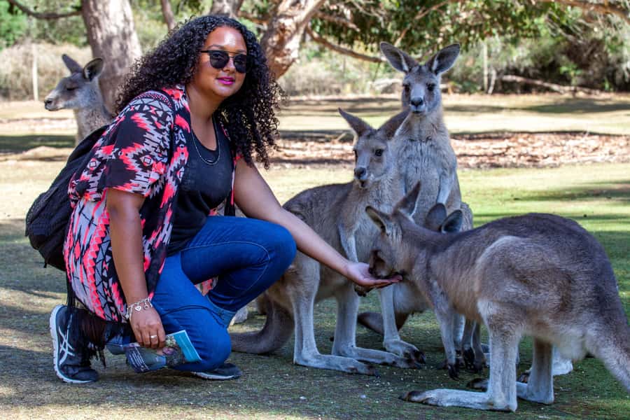 Hobart: Port Arthur, Richmond & Tassie Devil - Active Tour - Who should take this tour?