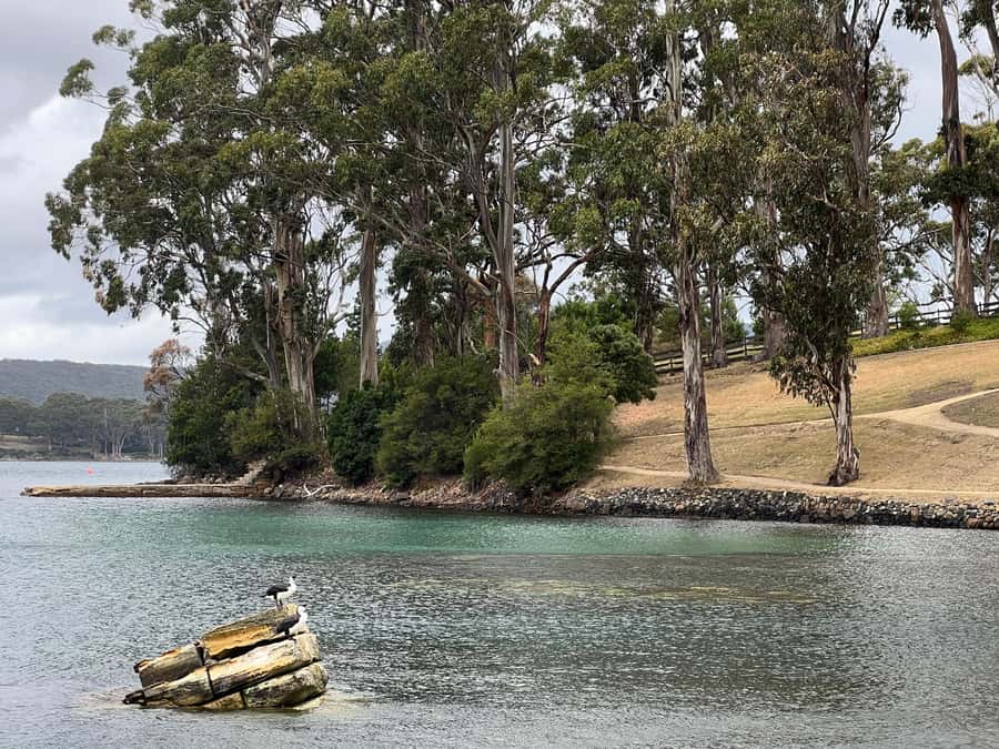 Hobart: Port Arthur & Tasman Park Full-Day Trip with Cruise - Saturdays replace several stops with Salamanca Market