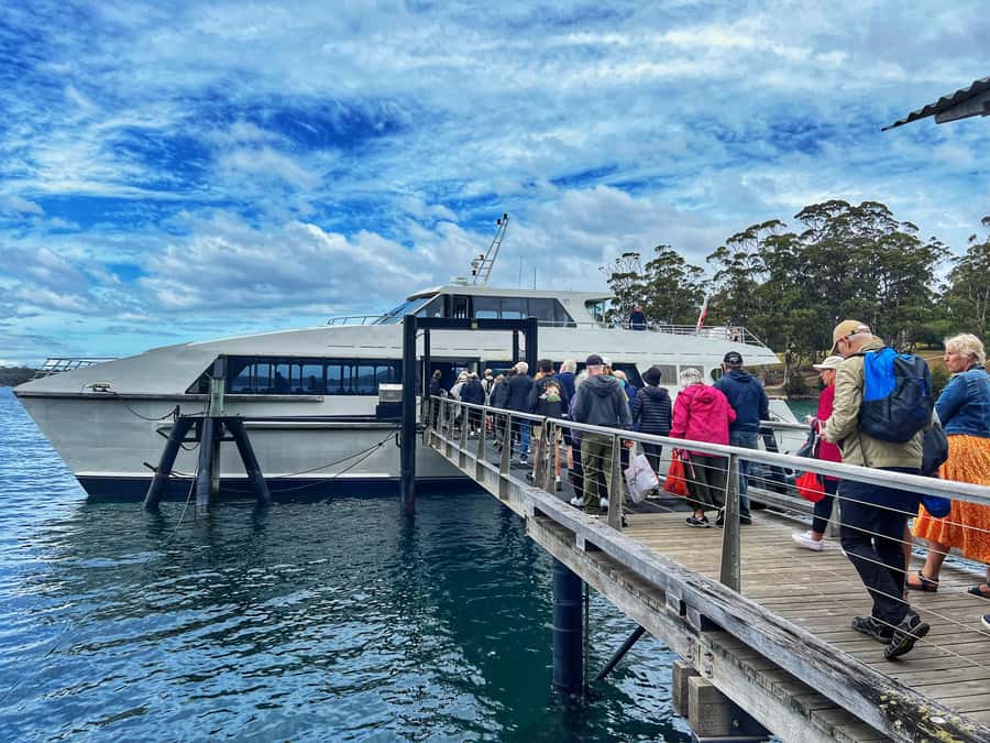 Hobart: Port Arthur & Tasman Park Full-Day Trip with Cruise - Is $120 good value for a full day?