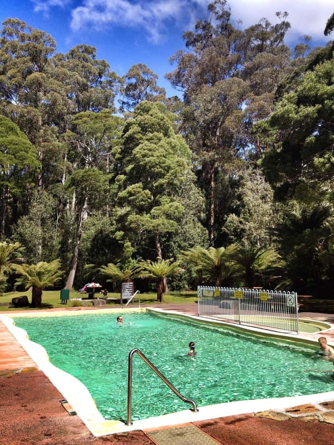 Hobart: Tahune Airwalk & Hastings Caves - Active Day Tour - The day in six useful points