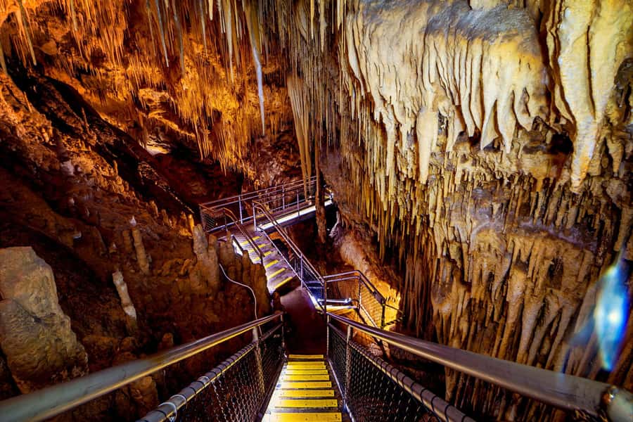Hobart: Tahune Airwalk & Hastings Caves - Active Day Tour - Leaving Hobart for the Huon Valley