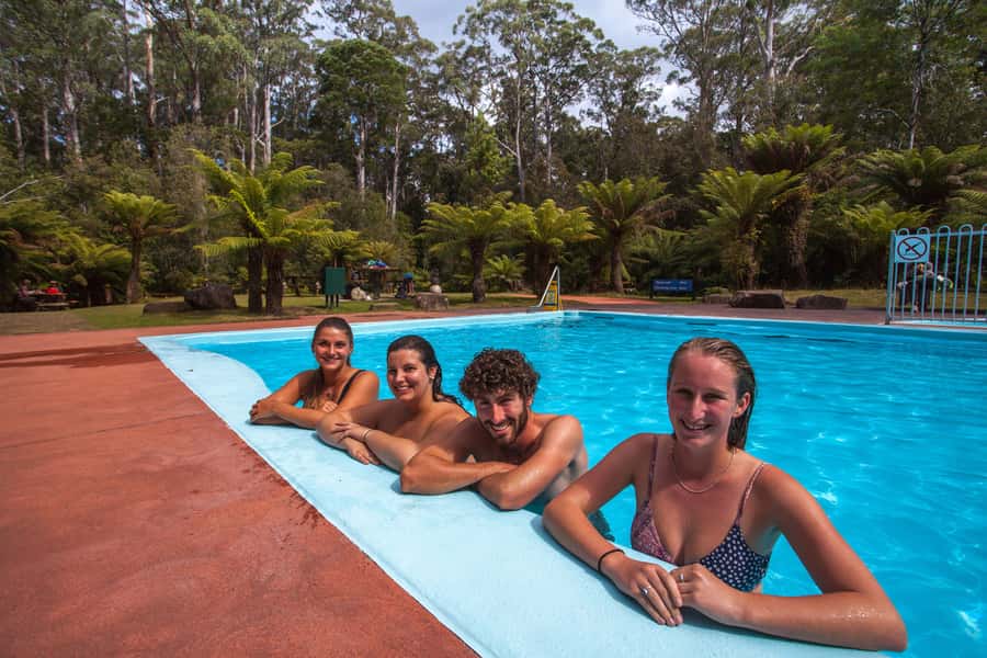 Hobart: Tahune Airwalk & Hastings Caves - Active Day Tour - The Huon Pine Walk and Tasmania’s ancient trees