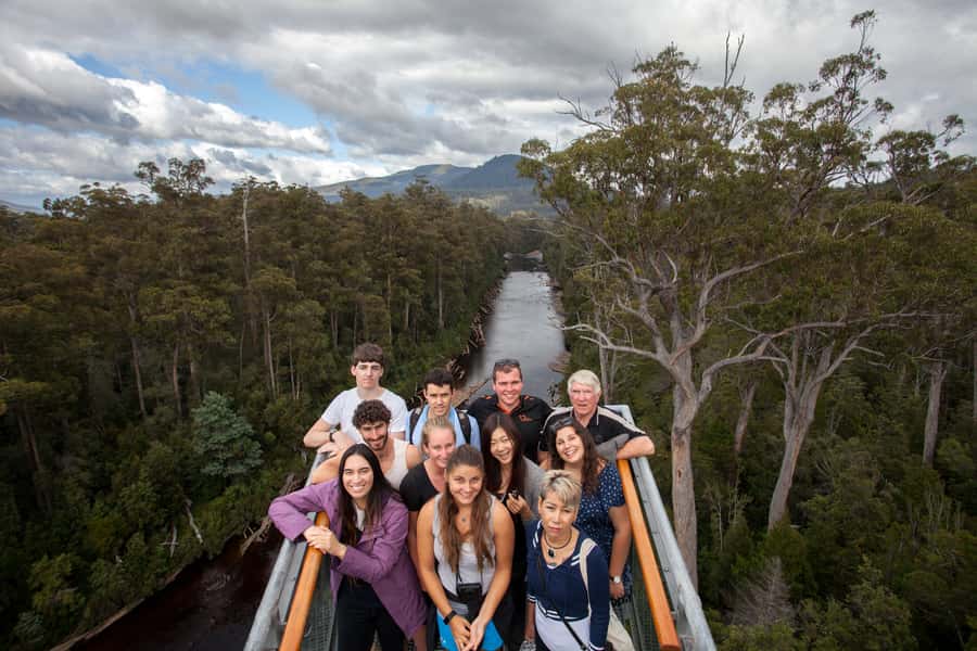 Hobart: Tahune Airwalk & Hastings Caves - Active Day Tour - Hastings Caves and the 9°C underground tour