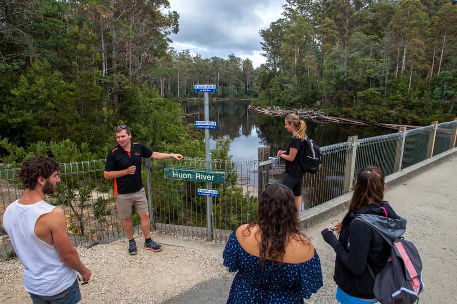 Hobart: Tahune Airwalk & Hastings Caves - Active Day Tour - A warm swim at the thermal springs