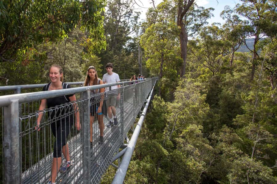 Hobart: Tahune Airwalk & Hastings Caves - Active Day Tour - What the guides add to the day