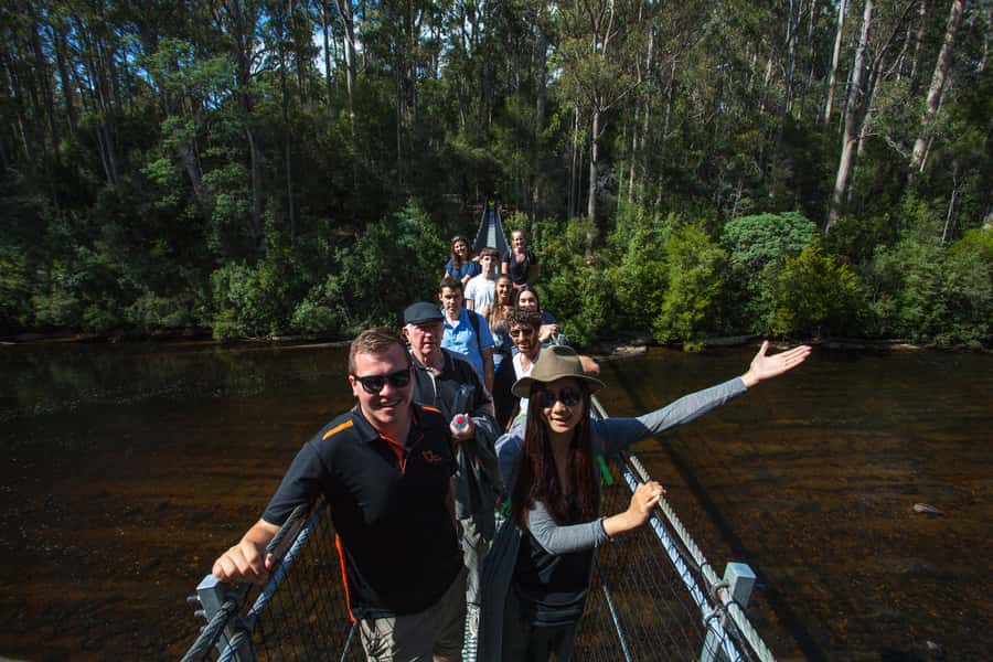 Hobart: Tahune Airwalk & Hastings Caves - Active Day Tour - Is $135 a fair price?