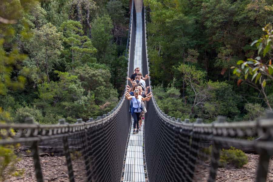 Hobart: Tahune Airwalk & Hastings Caves - Active Day Tour - Tahune Airwalk and the view from 50 metres up