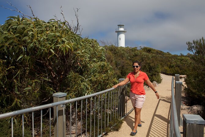 Hobart: Wineglass Bay & Freycinet National Park - Active Day Tour - Why the long ride to Freycinet can be worth it