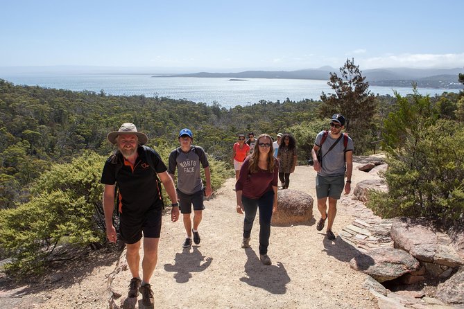 Hobart: Wineglass Bay & Freycinet National Park - Active Day Tour - Wineglass Bay Lookout: the essential walk