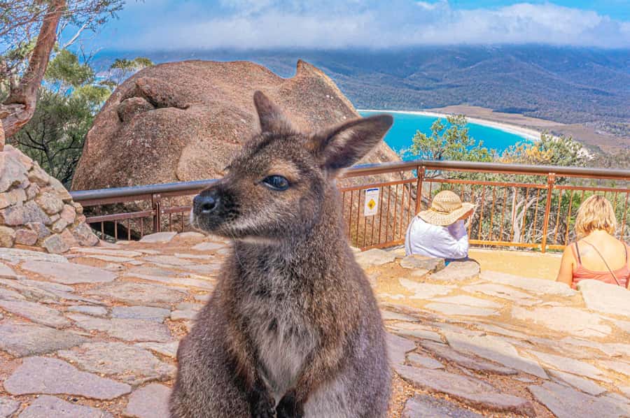 Hobart: Wineglass Bay, Freycinet Park, and Richmond Tour - Raspins Beach and the Maria Island view