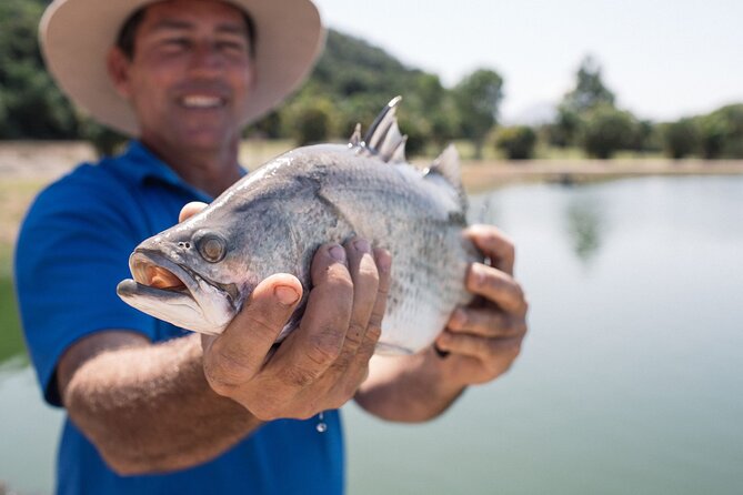 Hook-A-Barra Fishing and Farm Activity - Inside the Baby Barra and Growing Ponds