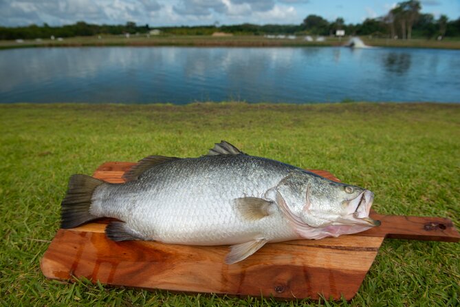 Hook-A-Barra Fishing and Farm Activity - The Pond-to-Plate Tasting