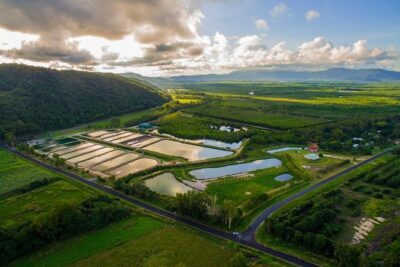 Hook A Barra Fishing Experience