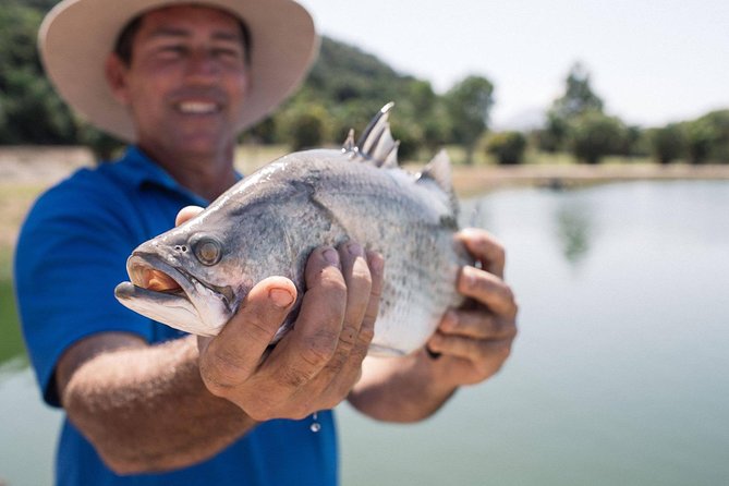 Hook A Barra Fishing Experience - The ponds, the technique, and the chance of catching