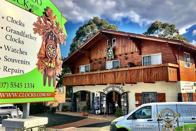 Hop on Hop Off Bus - Tamborine Mountain - Curtis Falls and the rainforest walk