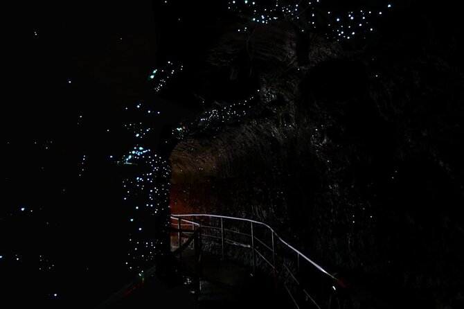 Hop on Hop off - Tamborine Rainforest Skywalk + Glow Worm Caves - Key points to know before booking