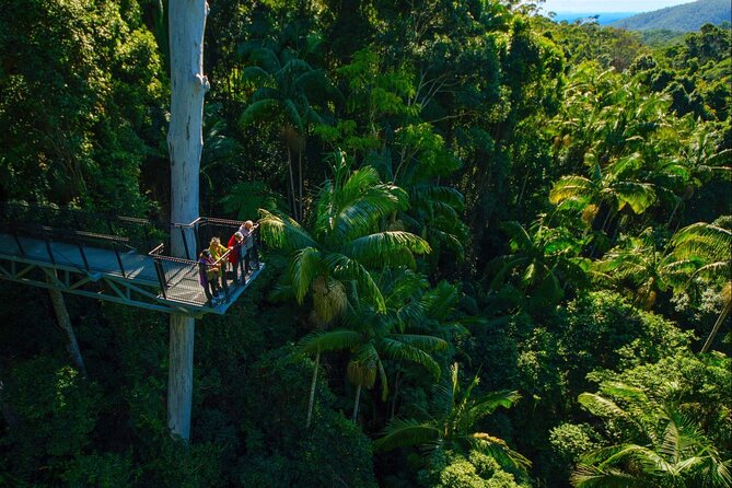 Hop on Hop off - Tamborine Rainforest Skywalk + Glow Worm Caves - Walking through the Tamborine Rainforest Skywalk