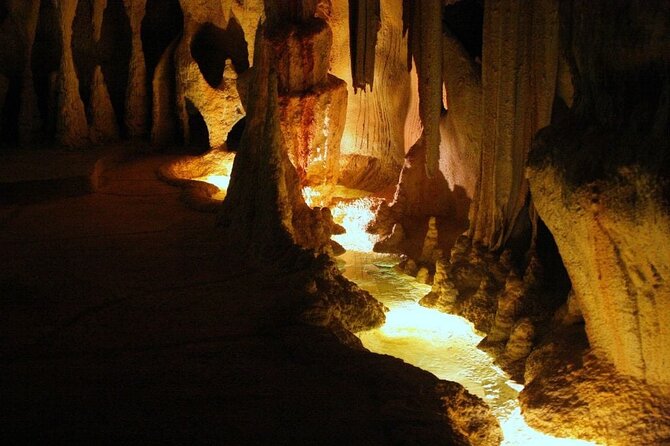 Hop on Hop off - Tamborine Rainforest Skywalk + Glow Worm Caves - The ride from Brisbane: useful transport, not wasted time