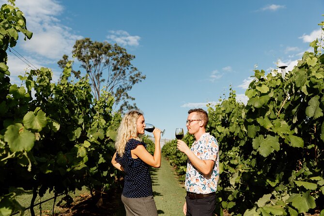 Hop on Hop off Wine tasting tour to Tamborine Mountain - What the guides add to the day
