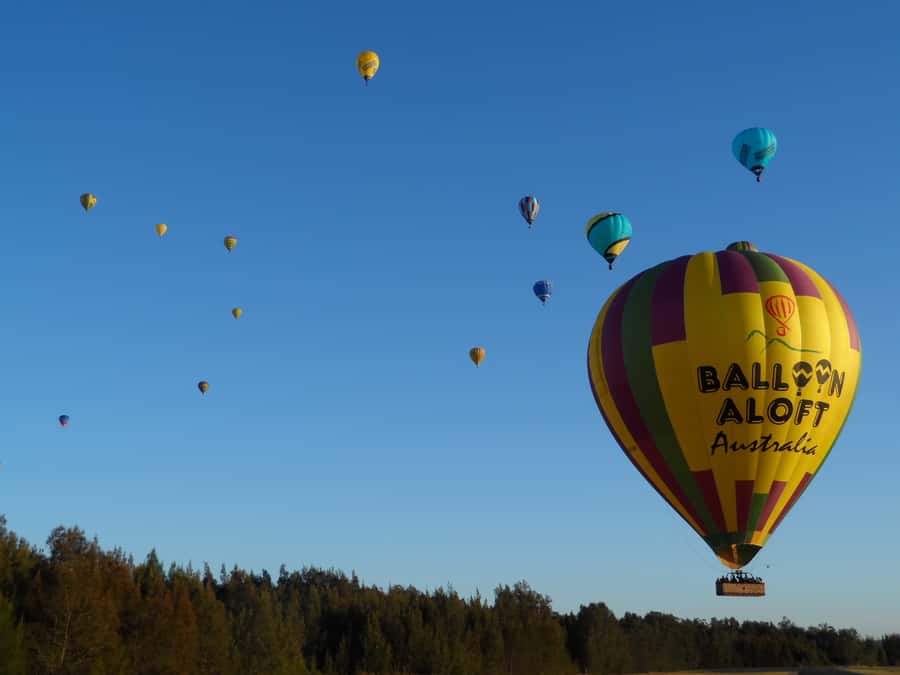 Hunter Valley: Sunrise Balloon Ride with Bubbly Breakfast - Landing and the work behind the scenes