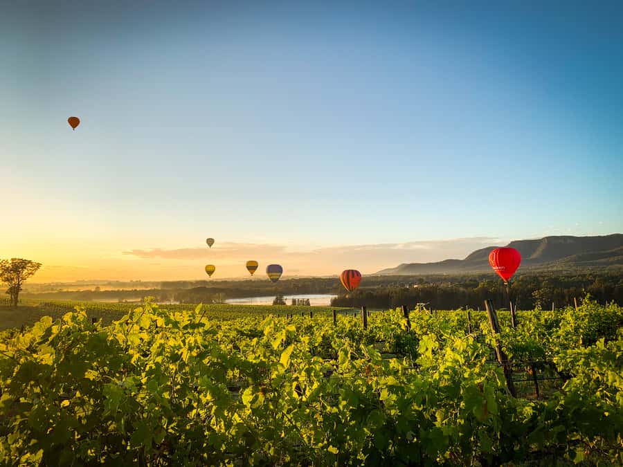 Hunter Valley: Sunrise Balloon Ride with Bubbly Breakfast - Peterson House adds a proper Hunter Valley finish