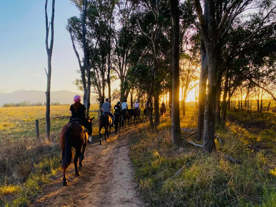 Hunter Valley: Sunset Horse Riding Tour 90min - Key points to know before booking