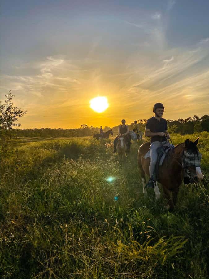 Hunter Valley: Sunset Horse Riding Tour 90min - Riding into the Hunter Valley evening