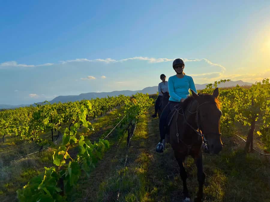 Hunter Valley: Sunset Horse Riding Tour 90min - A slow ride through bushland and farmland