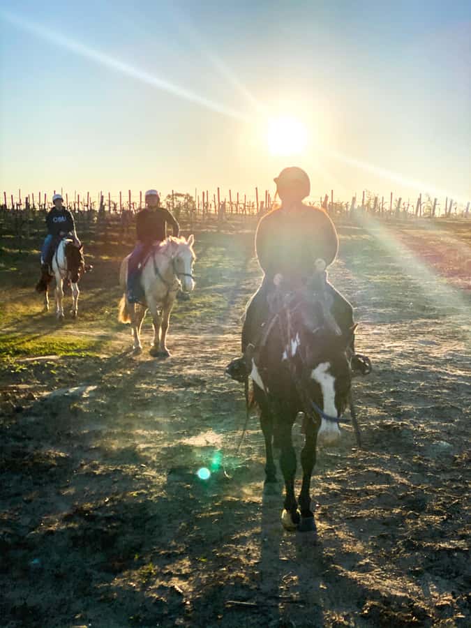 Hunter Valley: Sunset Horse Riding Tour 90min - What the $123 price includes