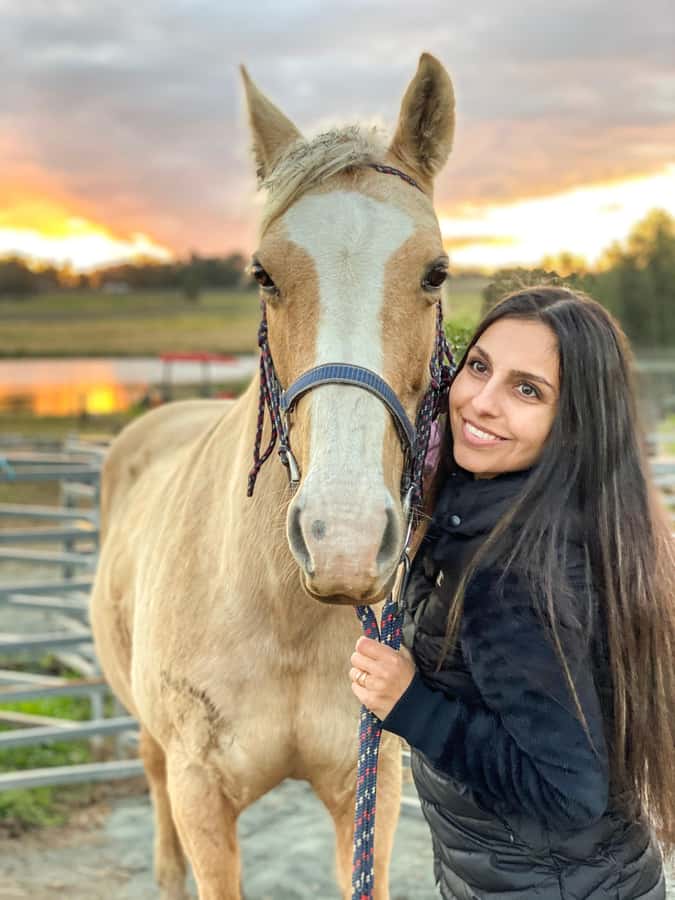 Hunter Valley: Sunset Horse Riding Tour 90min - Who will enjoy this ride most