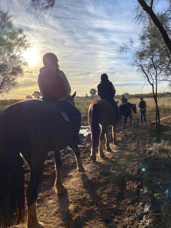 Hunter Valley: Sunset Horse Riding Tour 90min - Practical planning for the 90 minutes