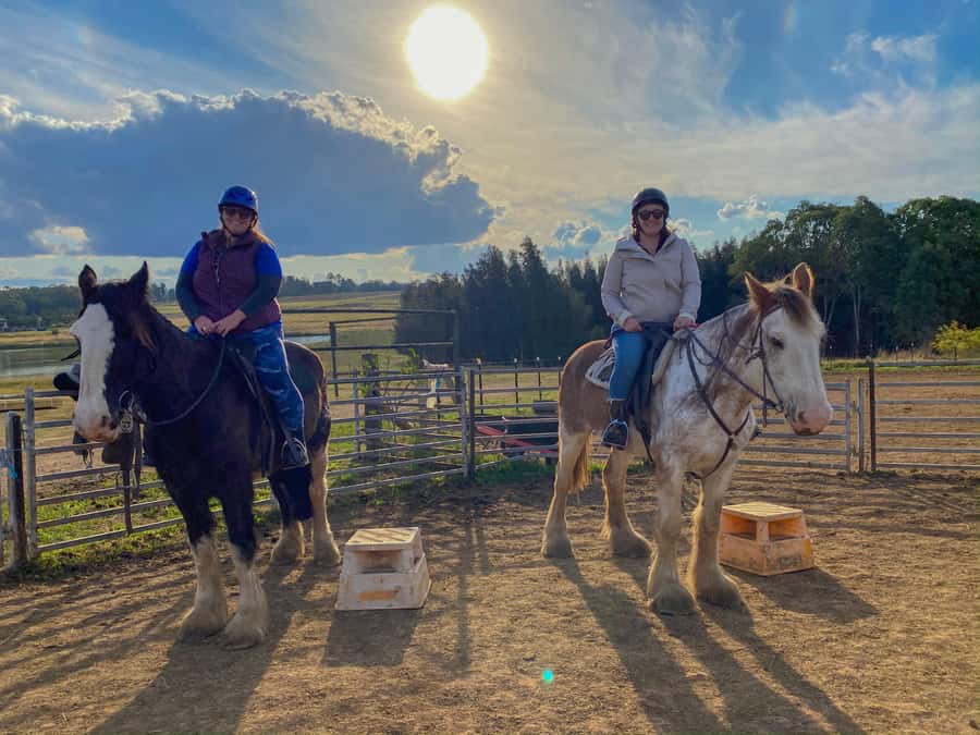 Hunter Valley: Sunset Horse Riding Tour 90min - The main strengths and drawbacks