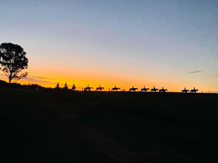 Hunter Valley: Sunset Horse Riding Tour 90min - Meeting your horse before the trail