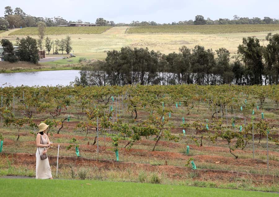 Hunter Valley: Wine, Chocolate and Lunch All Inclusive Tour - Hunter Valley Gardens allows a short change of pace