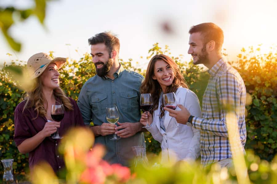 Hunter Valley: Wine, Chocolate and Lunch All Inclusive Tour - Sobels Wines starts with how wine is made