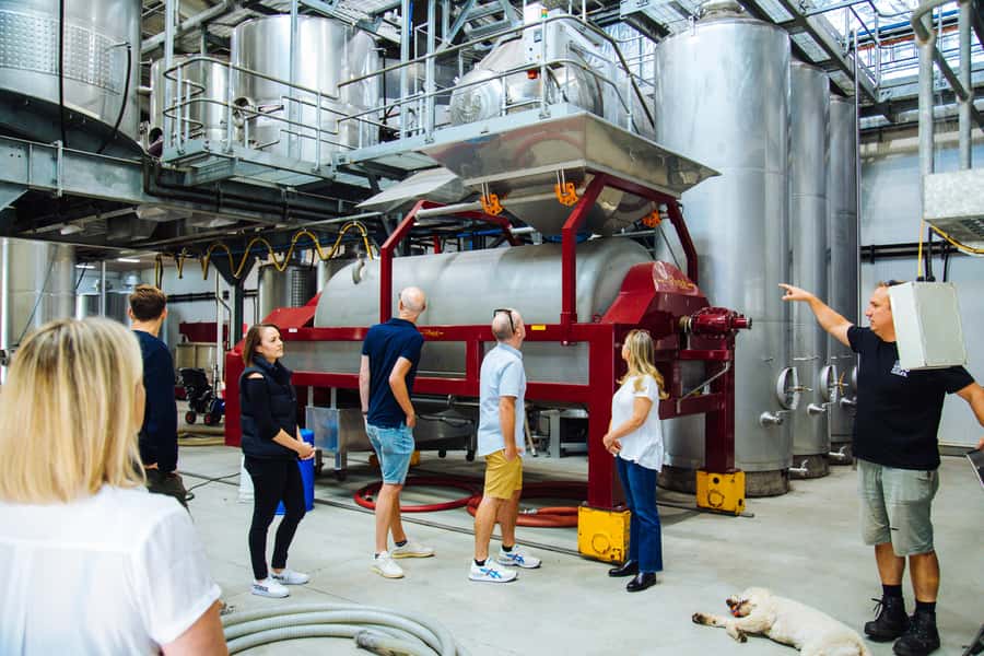 Hunter Valley: Wine, Spirits, and Cheese Tour with Lunch - Spirits in test tubes, with a few brave choices