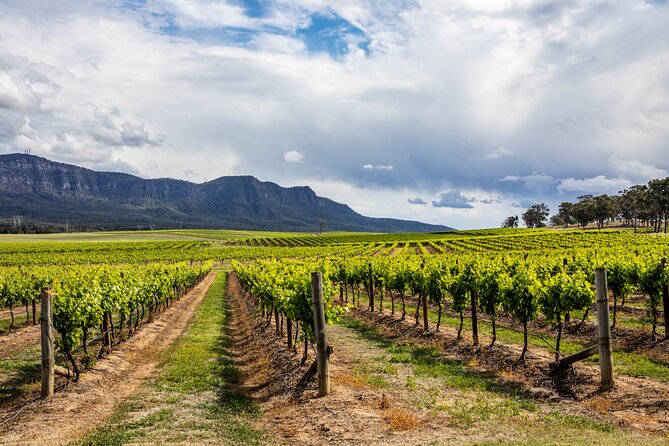 Hunter Valley Wine Tasting Tour from Sydney - At a glance