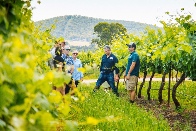 Hunter Valley Wine Tasting Tour from Sydney - Iron Gate Estate starts the wine day