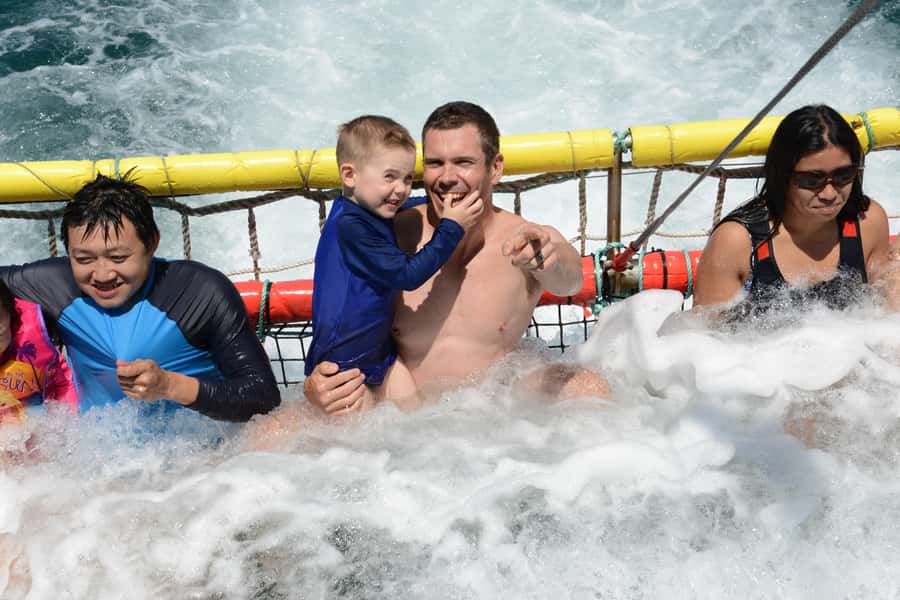 Huskisson: Dolphin Cruise & Boom Netting Experience - The boom net turns the boat into a floating water ride