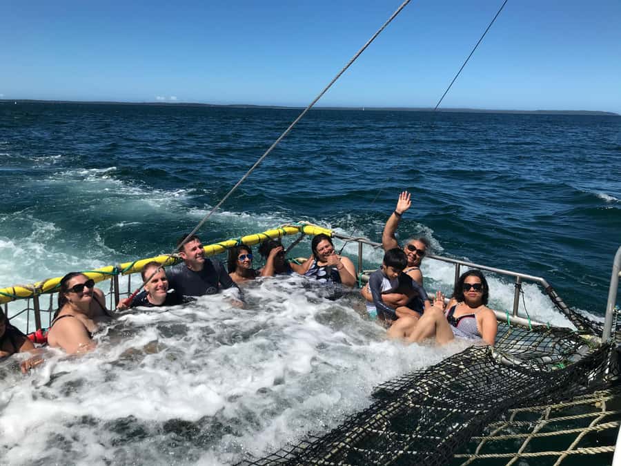 Huskisson: Dolphin Cruise & Boom Netting Experience - Should you book the Jervis Bay dolphin and boom net cruise?