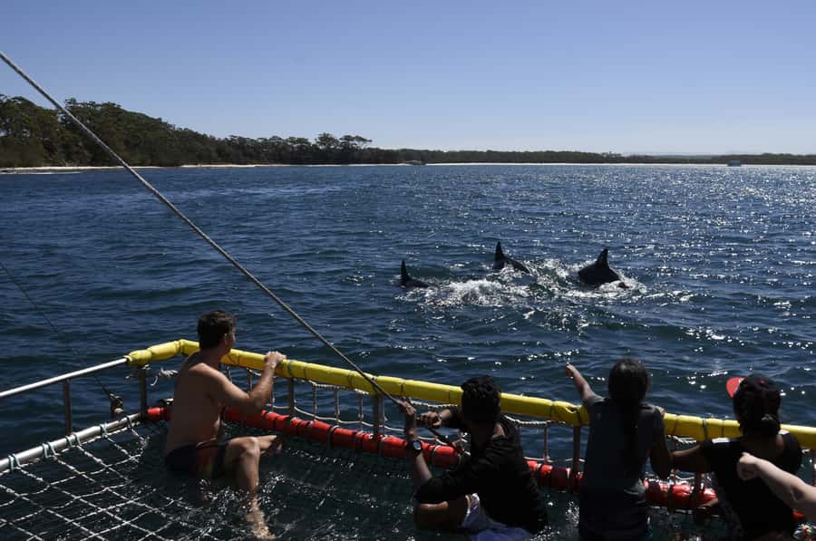 Huskisson: Dolphin Cruise & Boom Netting Experience - The first part: searching Jervis Bay for dolphins