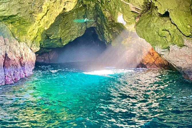 Ile Des Phoques and Maria Island Cruise and Walk Day Tour with Lunch - Why this Maria Island day works so well