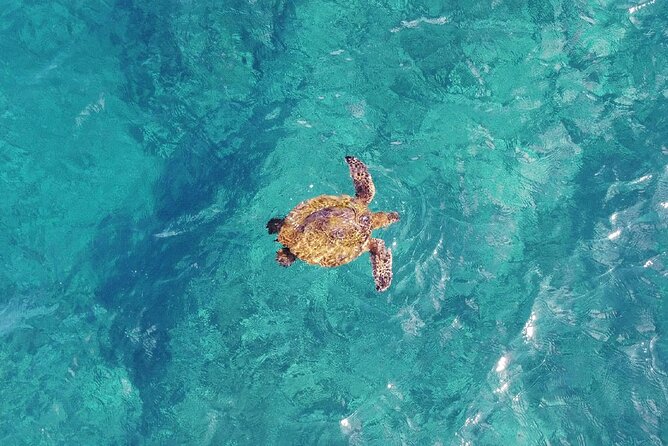 Inner Reef Explorer - 30 minute Reef Scenic Flight - Is $297.66 per person good value?