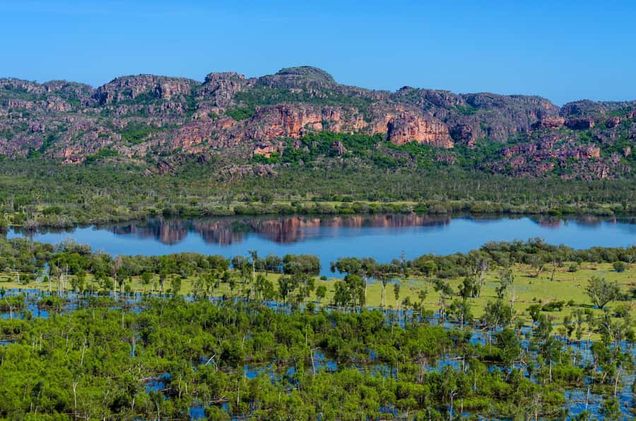 Jabiru: Guided Flight over Kakadu National Park - A seasonal route, not one fixed view