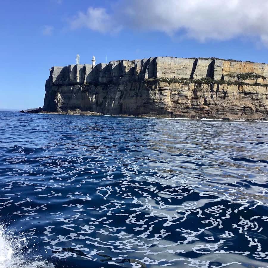 Jervis Bay: 2-Hour Cruise of Jervis Bay Passage - What the two-hour timing gives you